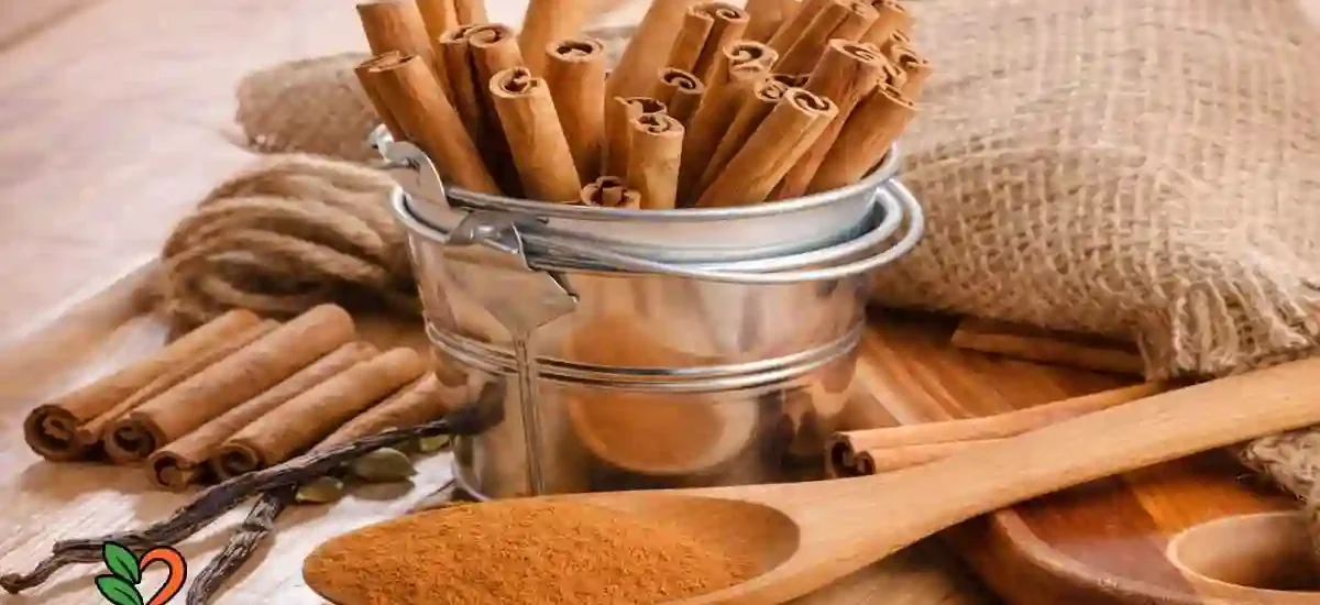 La Canela y sus propiedades medicinales y curativas
