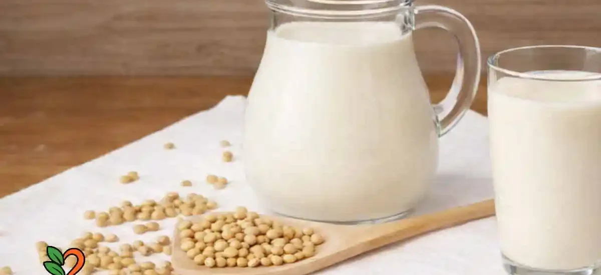 Cómo hacer leche de Soja casera