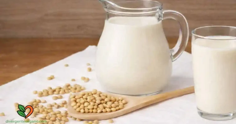 Cómo hacer leche de Soja casera