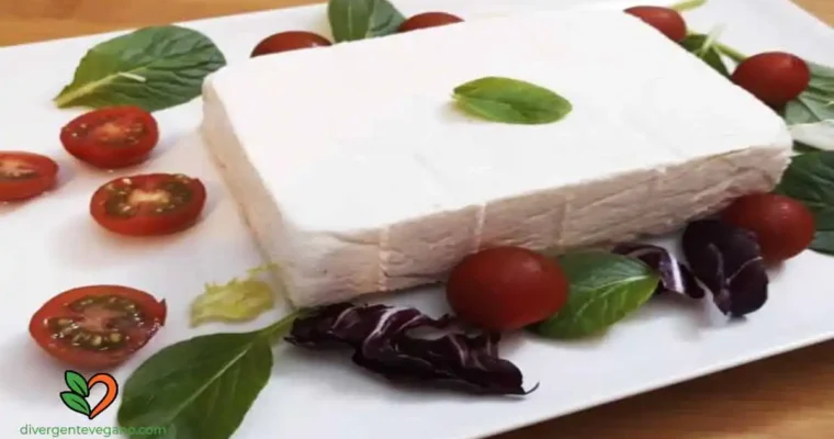 Cómo hacer Tofu casero