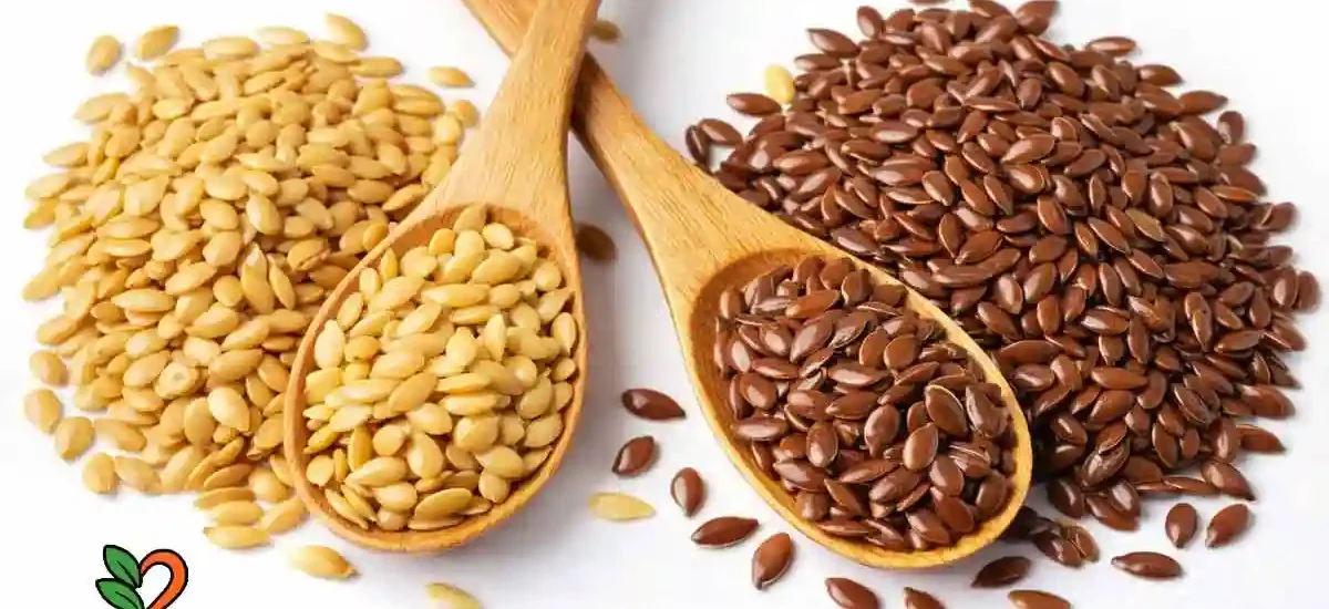 Semillas de Lino – Propiedades nutricionales, beneficios y contraindicaciones