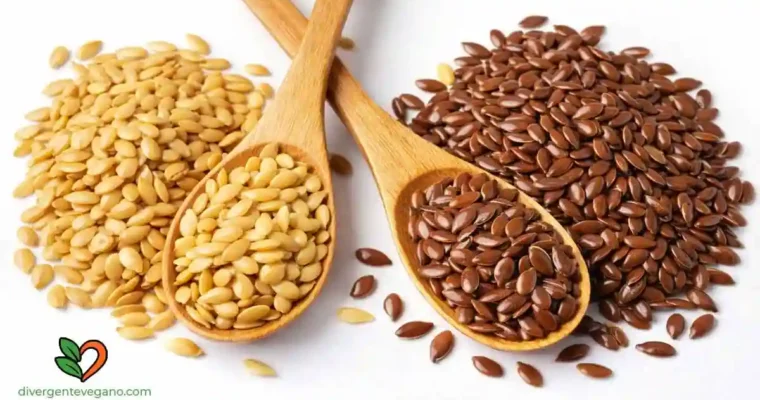 Semillas de Lino – Propiedades nutricionales, beneficios y contraindicaciones