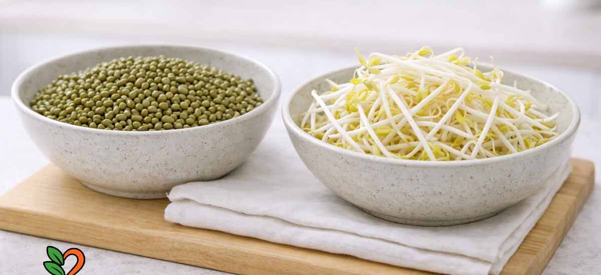 Brotes de soja caseros: la verdad sobre la semilla de mungo y cómo germinarla bien
